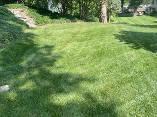 Cindy S.'s Lawn Service service result
