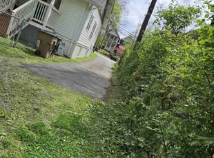 Bush Trimming by Timothy Peak for Mason M. in Nashville, TN