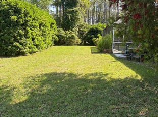 Jenny L.'s Yard Cutting service result