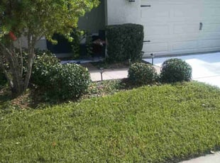 Bush Trimming by Julian Flores for Bridgette F. in Sun City Center, FL