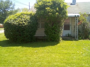 Bush Trimming by Shawn Crase for Michele M. in Lorain, OH