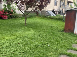 Direace J.'s Lawn Care service result