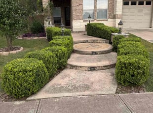 Bush Trimming by Kevin Tougas for Brent W. in Pflugerville, TX