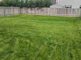 Sam Z.'s Lawn Care service result