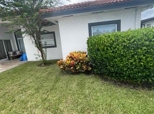 Bush Trimming by Marcus Major for Sol M. in Fort Lauderdale, FL