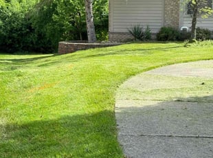 Misha H.'s Lawn Mowing service result