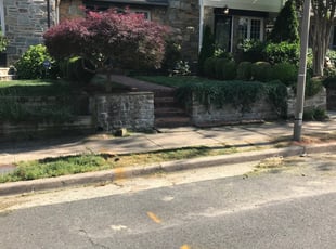 Bush Trimming by Kamonta Hackey for Michele M. in Alexandria, VA