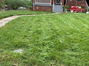 Sean O.'s Lawn Mowing Service service result