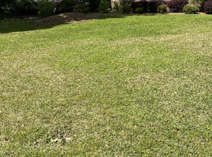 James M.'s Lawn Care service result