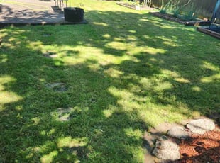 Sandy R.'s Lawn Maintenance service result