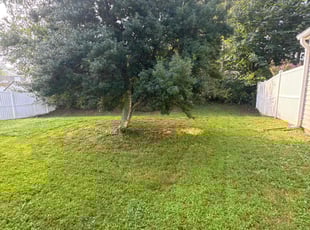 Jasmine C.'s Yard Cutting service result