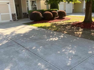 Bush Trimming by Louis Sampson for Heather T. in Mableton, GA