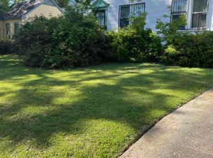 Thomas G.'s Lawn Mowing service result