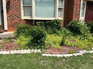 Bush Trimming by Russel Holder for Keith M. in Norcross, GA