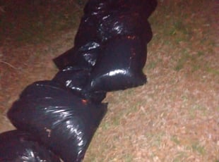 Leaf Removal by Billy Barnhardt for Demarcus E. in Kannapolis, NC