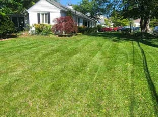 Jenny V.'s Lawn Mowing Service service result