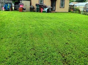 Tina J.'s Yard Cutting service result