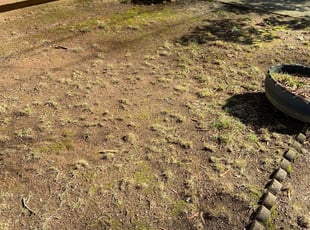 Leaf Removal by Thomas Burris for Cecilette L. in Kannapolis, NC