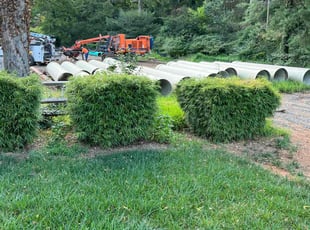 Bush Trimming by Clay Turner for Kyle B. in Charlotte, NC
