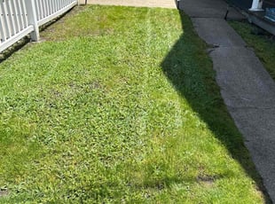Nolen S.'s Lawn Maintenance service result