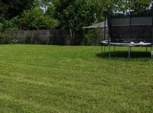 James B.'s Lawn Mowing service result