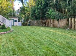 Holly K.'s Lawn Mowing service result