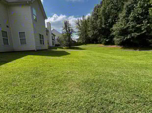 Frank T.'s Yard Cutting service result