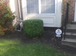 Bush Trimming by Greg Bush for Stacey C. in Bowie, MD