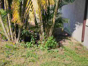 Cleanups by Gabriel Sandoval for AP W. in Winter Park, FL