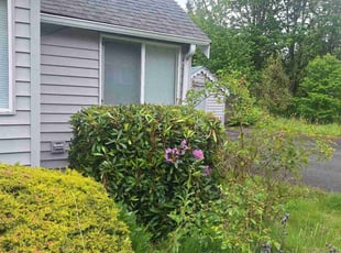 Bush Trimming by Robert Martin for Charles P. in Redmond, WA