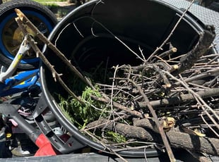 Leaf Removal by Dale Walker for Molly M. in Colorado Springs, CO