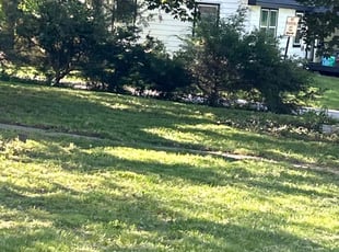 Bush Trimming by Mark Marin for Kisha C. in Topeka, KS