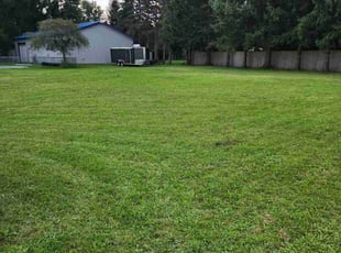 Jean M.'s Lawn Maintenance service result