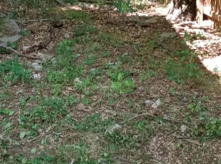 Cleanups by Jaime Caraballo for Erick K. in Norcross, GA
