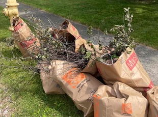 Leaf Removal by Scott Basinger for Terrance c. in Parma, OH