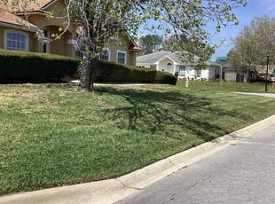 Maureen W.'s Lawn Maintenance service result