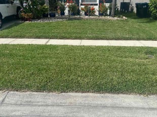 Gene A.'s Lawn Mowing Service service result