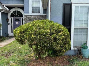 Bush Trimming by Latonya Talley for Jayme S. in Austell, GA