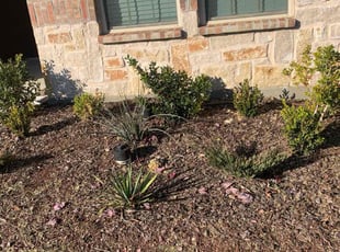 Weeding by Glen Fogg for Josephine V. in Denton, TX
