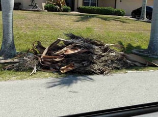 Leaf Removal by Jose Santos for Addy H. in Cape Coral, FL