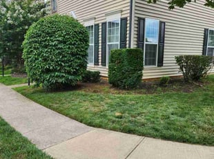 Bush Trimming by Mark Burke for Larry B. in Bristow, VA