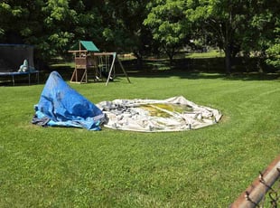 Lana C.'s Lawn Mowing service result