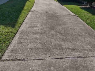 Tricia G.'s Lawn Maintenance service result