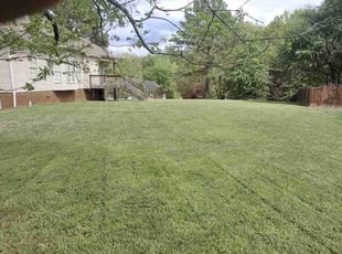 Ron B.'s Yard Cutting service result