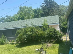 Bush Trimming by Owen Queen for Anita J. in Fairborn, OH