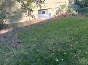 Cleanups by Joel Friedrich for Nicole P. in Independence, MO