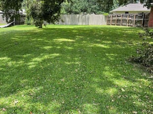 Keontrey W.'s Lawn Mowing Service service result