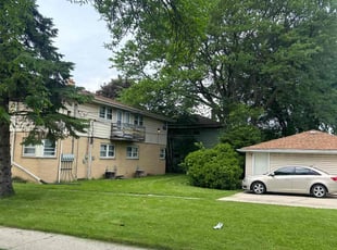 Vanese R.'s Grass Cutting service result