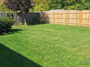 Bonnie D.'s Lawn Care service result