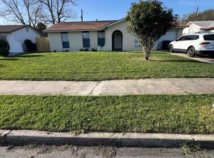 Irene A.'s Lawn Care service result